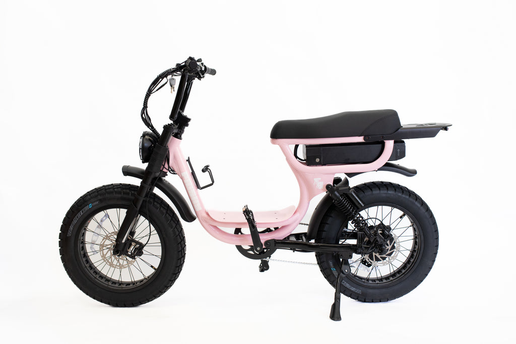 THE CRUISER